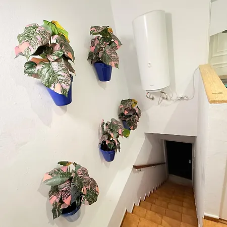 In Old Town Near Apartment Estepona