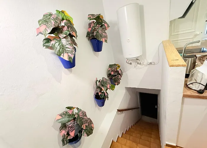 In Old Town Near Апартаменти Естепона